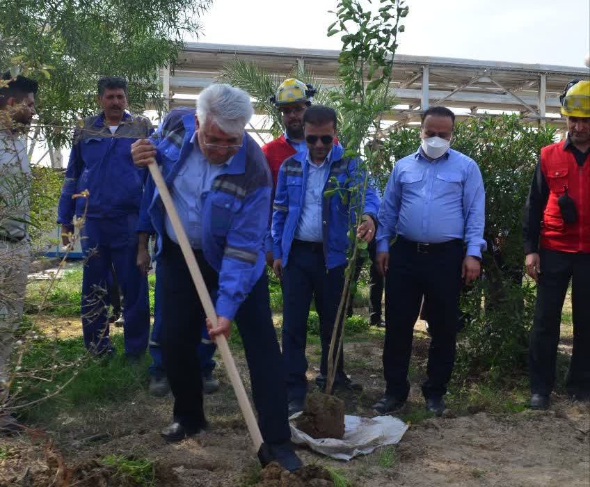 کاشت نهال در پتروشیمی شهید تندگویان