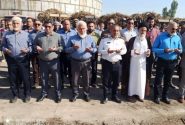 ترنّم تولید در هفت‌تپه طنین‌انداز شد؛ آغاز برداشت نیشکر در قدیمی‌ترین واحد نیشکری ایران