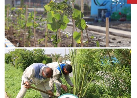 مجتمع پتروشیمی اروند با کاشت درختان مثمر ثمر، سرانه فضای سبز خود را ارتقا داد