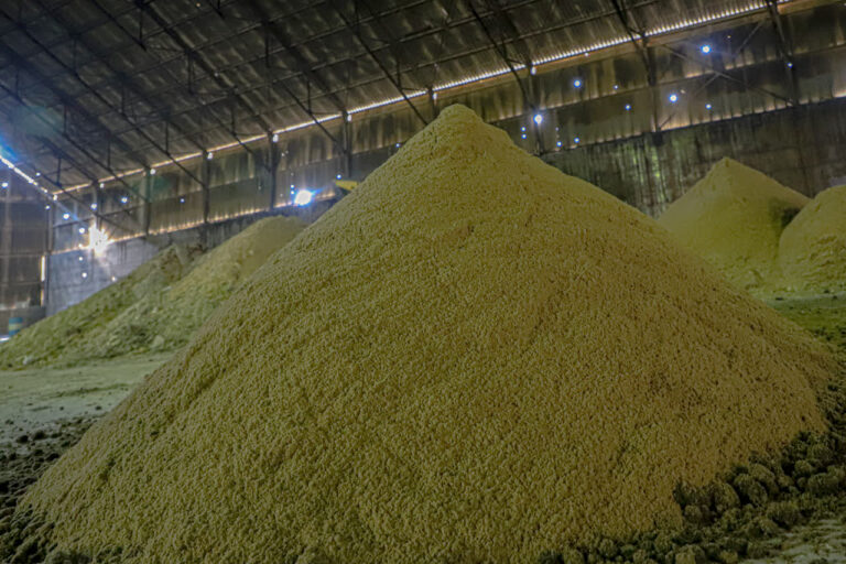 ورود اولین شکر زرد تولیدی به انبارهای نیشکر هفت‌تپه؛ تولید شکر زرد هفت‌تپه به 600 تُن در روز افزایش می‌یابد