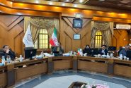 برگزاری دوره آموزشی هوش مصنوعی و تحول دیجیتال در پتروشیمی شازند