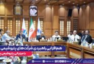 هم‌افزایی راهبردی شرکت‌های پتروشیمی پارس با میزبانی پتروشیمی پردیس