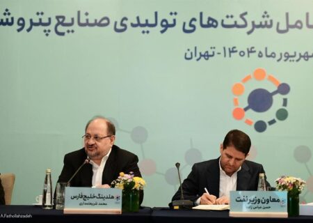 خصوصی‌سازی واقعی تنها راه توسعه صنعت پتروشیمی است