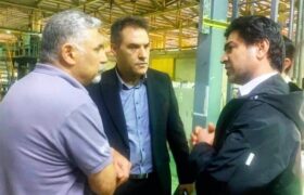 بومی‌سازی فناوری پیشرفته FFS در پتروشیمی ایلام؛ گام راهبردی در کاهش وابستگی خارجی