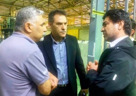 بومی‌سازی فناوری پیشرفته FFS در پتروشیمی ایلام؛ گام راهبردی در کاهش وابستگی خارجی