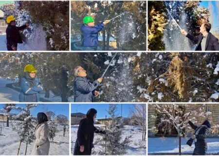 پویش برف تکانی درختان در پتروشیمی ارومیه