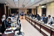 هم افزایی بین حسابرسی و واحدهای سازمانی در چارچوب قوانین موجب پویایی شرکت می شود