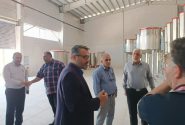 رونق اشتغال پایدار با راه‌اندازی طرح‌های توسعه‌ای نیشکر