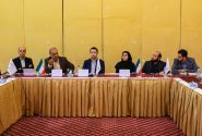 خیز بلند هلدینگ خلیج فارس در راستای بهره‌مندی از ظرفیت‌های ماده 11 قانون جهش تولید دانش‌بنیان
