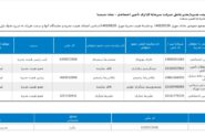 رحیمی رئیس هیأت مدیره شستا ماند