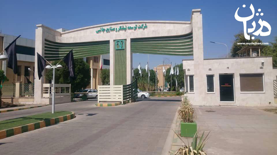 نیشکر به یکی از ارزنده‌ترین سهام بازار سرمایه تبدیل می‌شود