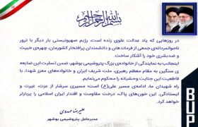 پیام مدیرعامل پتروشیمی بوشهر در محکومیت جنایت رژیم صهیونیستی