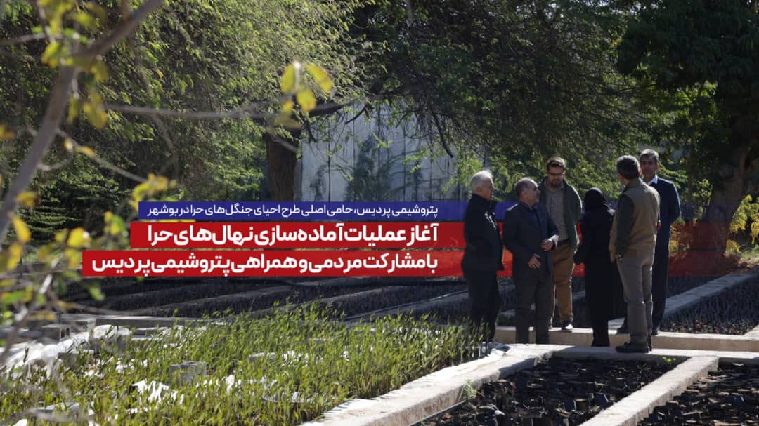 آغاز عملیات آماده‌سازی نهال‌های حرا با مشارکت مردمی و همراهی پتروشیمی پردیس