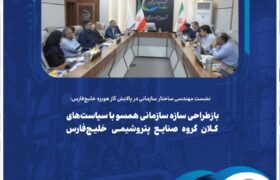 بازطراحی سازه سازمانی همسو با سیاست‌های کلان گروه صنایع پتروشیمی خلیج‌فارس