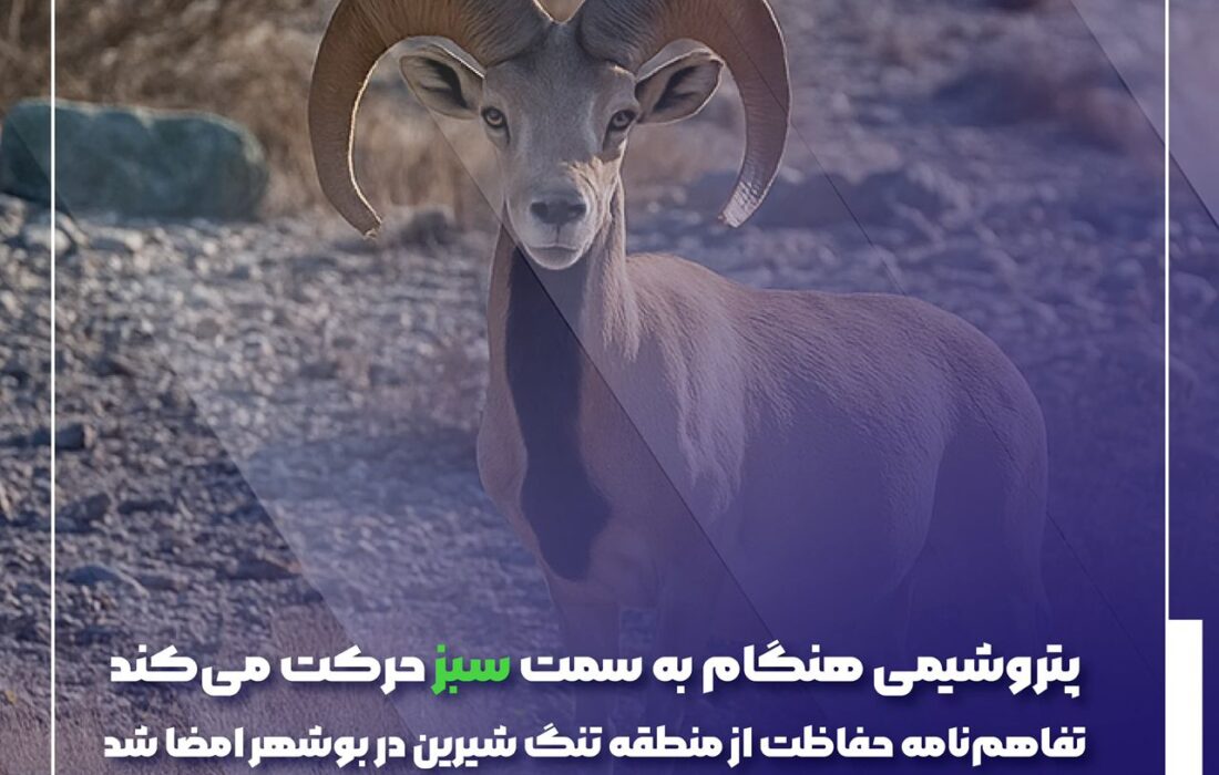 پتروشیمی هنگام به سمت سبز حرکت می‌کند؛ تفاهم‌نامه حفاظت از منطقه تنگ شیرین در بوشهر امضا شد
