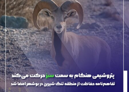 پتروشیمی هنگام به سمت سبز حرکت می‌کند؛ تفاهم‌نامه حفاظت از منطقه تنگ شیرین در بوشهر امضا شد