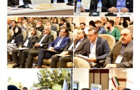 توسعه زنجیره‌های ارزش، به‌ویژه در حوزه‌ PVC در اولویت برنامه هفتم توسعه قرار گیرد