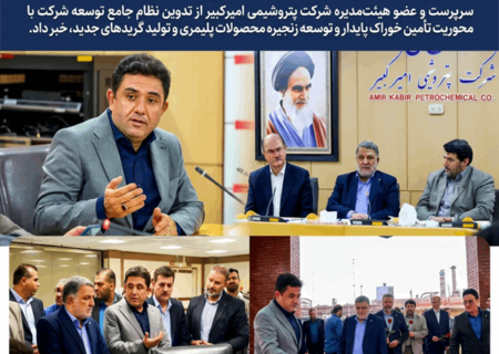 تدوین نظام جامع توسعه پتروشیمی امیرکبیر