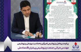 مهندس حیاتی: صنعت پتروشیمی پیشران اقتصاد ملی