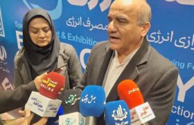 ناترازی انرژی مهم‌ترین چالش صنعت پتروشیمی است