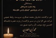 پیام تسلیت مدیرعامل شرکت پتروشیمی کیمیای پارس خاورمیانه