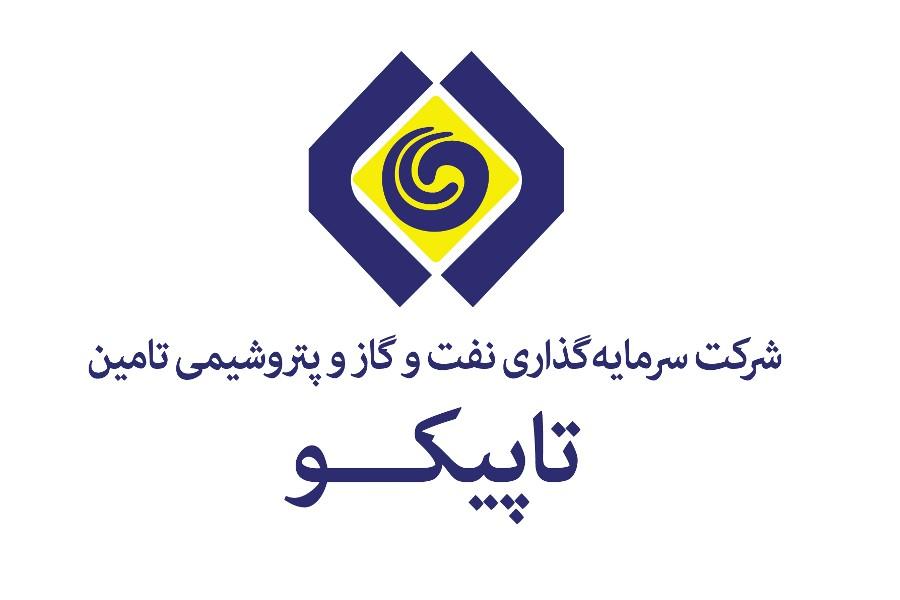 تاپیکو دو شرکت تابعه را برای فروش گذاشت