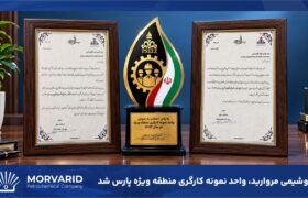 پتروشیمی مروارید موفق به کسب عنوان واحد نمونه کارگری منطقه ویژه پارس شد